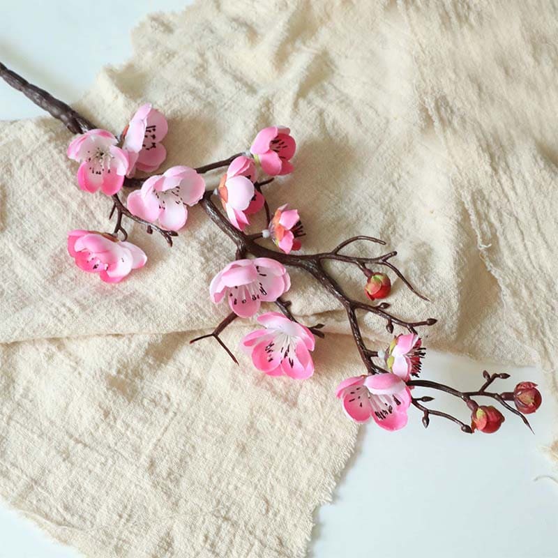 Fleurs de Prunier