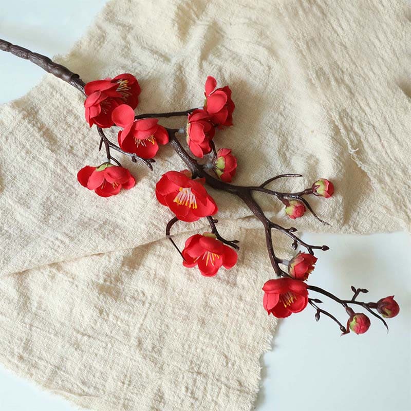 Fleurs de Prunier