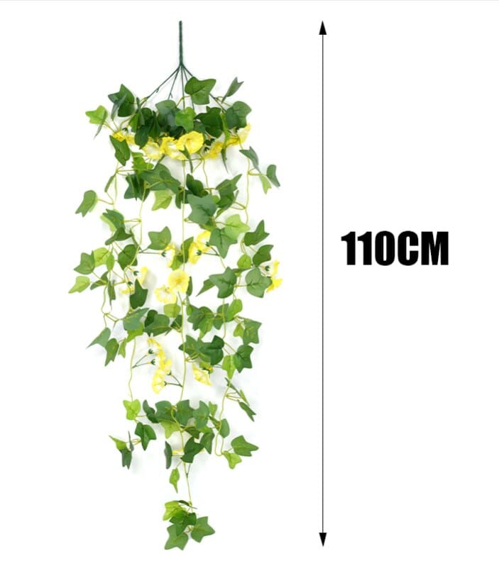 Fleurs Morning Glory