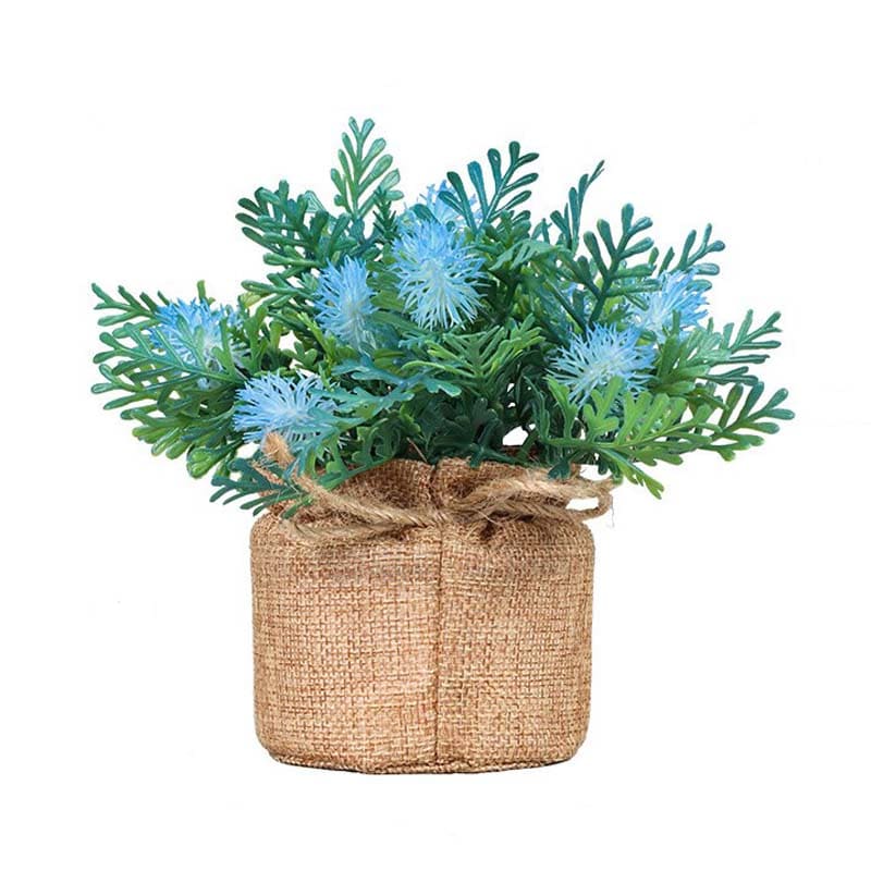 Fougère en Pot.
