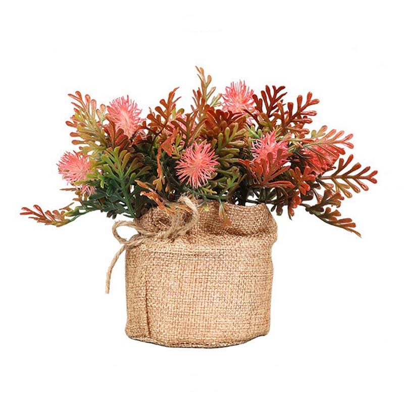 Fougère en Pot.