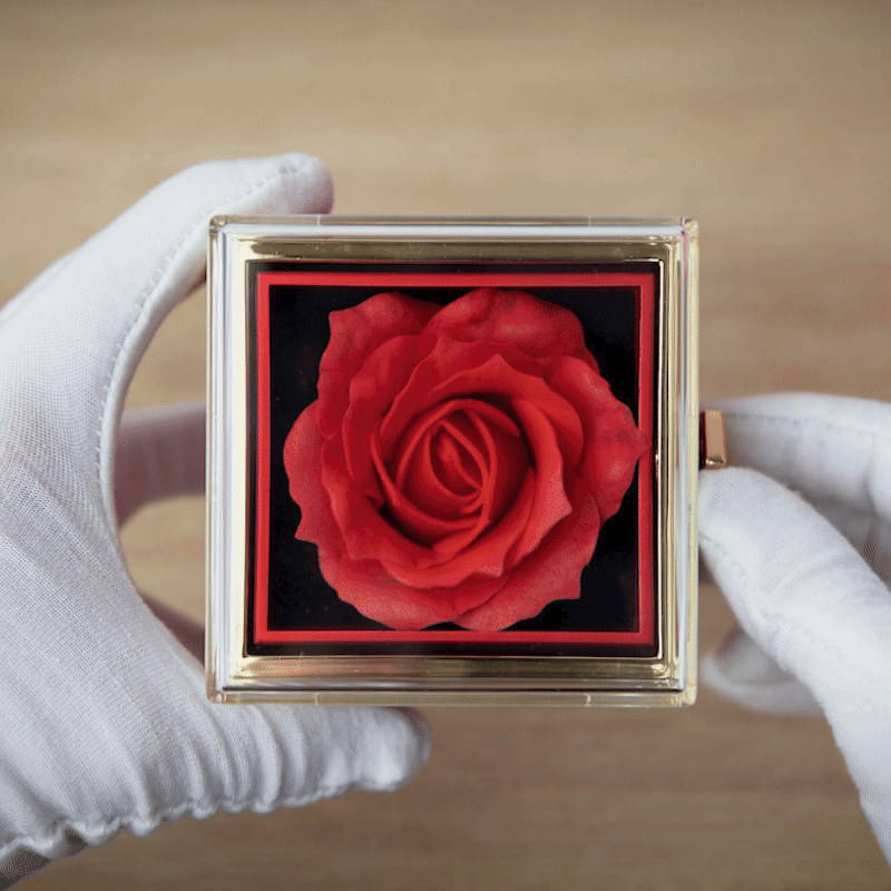 Coffret Rose Éternelle avec Collier Gravé