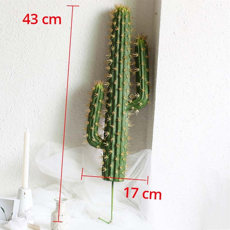 Cactus Déco Intérieur