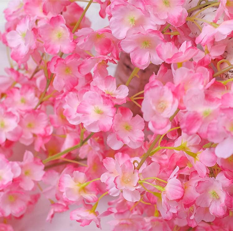 Guirlande Lumineuse Fleurs de Cerisier
