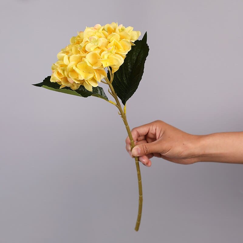 Hortensia Artificiel