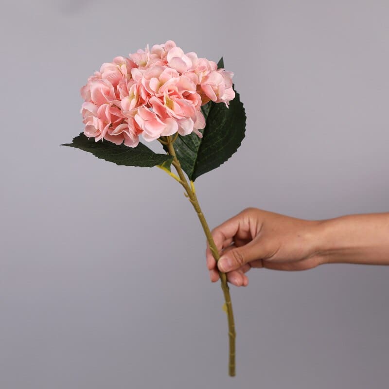 Hortensia Artificiel