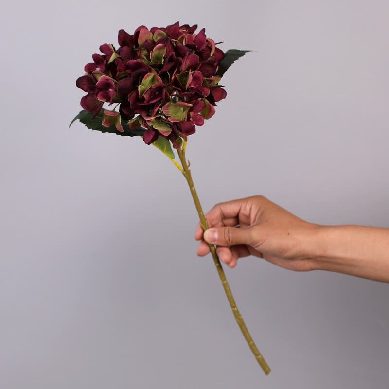 Hortensia Artificiel