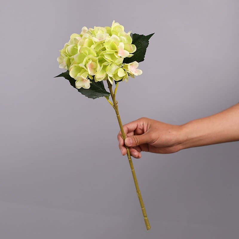 Hortensia Artificiel