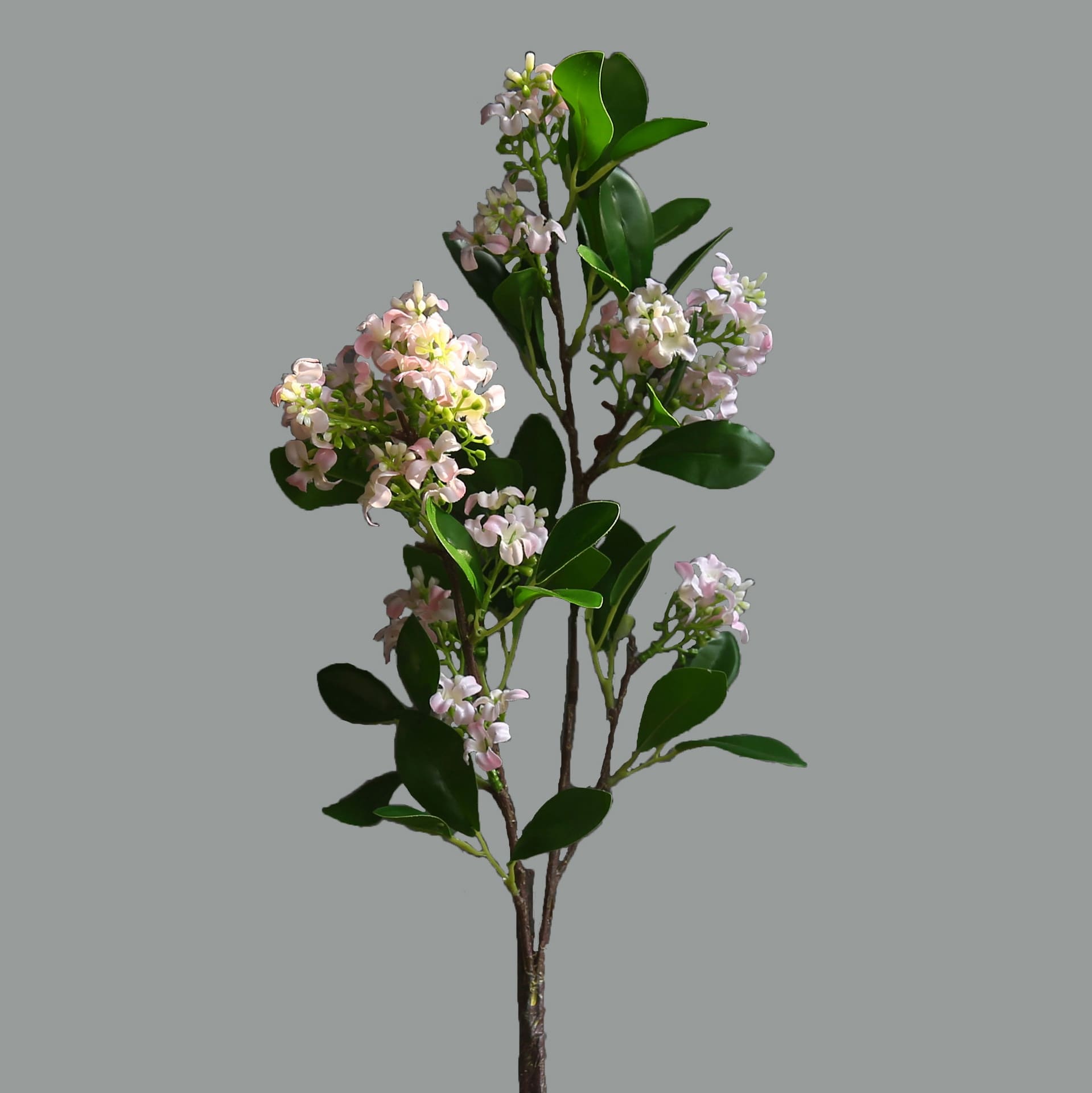 Jasmin Artificiel Blanc