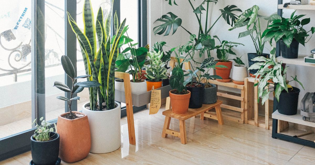 LaPlanteArtificielle | Plantes et Fleurs Artificielles