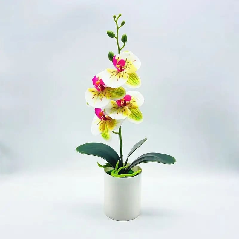 Orchidée Artificielle Luxe à Prix Abordable
