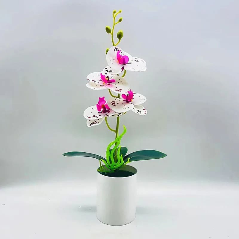 Orchidée Artificielle Luxe à Prix Abordable