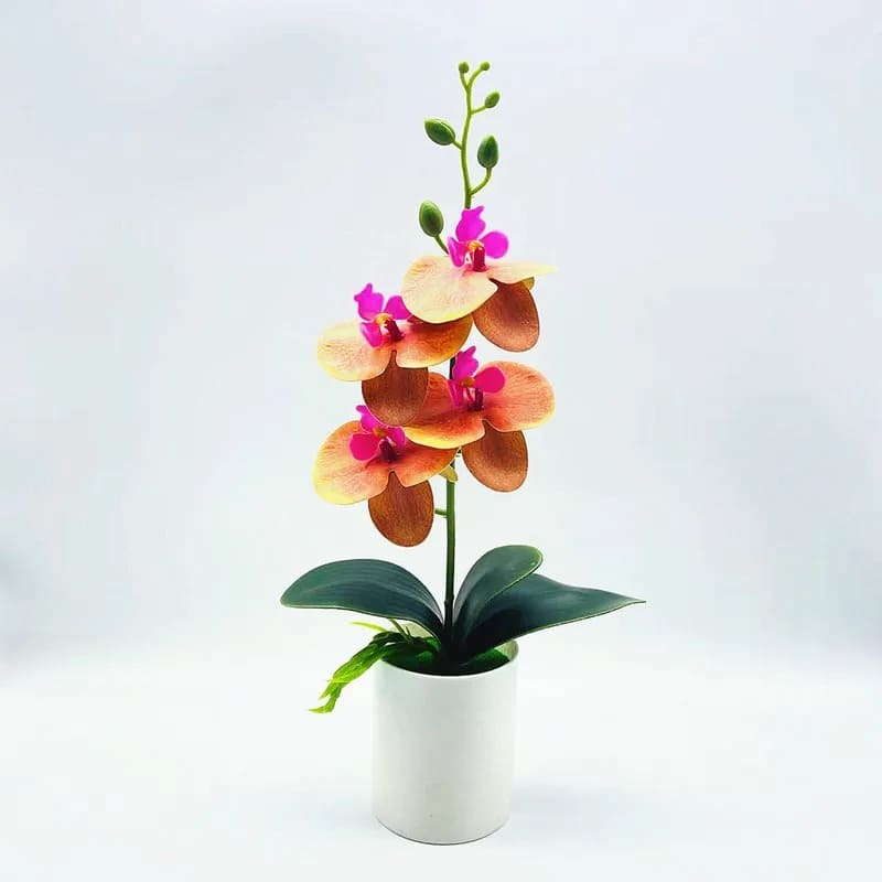 Orchidée Artificielle Luxe à Prix Abordable
