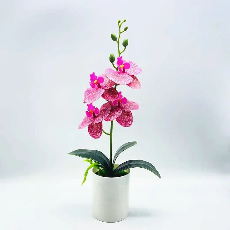 Orchidée Artificielle Luxe à Prix Abordable