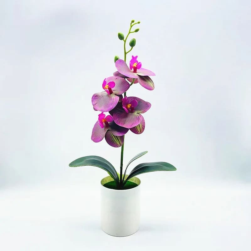 Orchidée Artificielle Luxe à Prix Abordable
