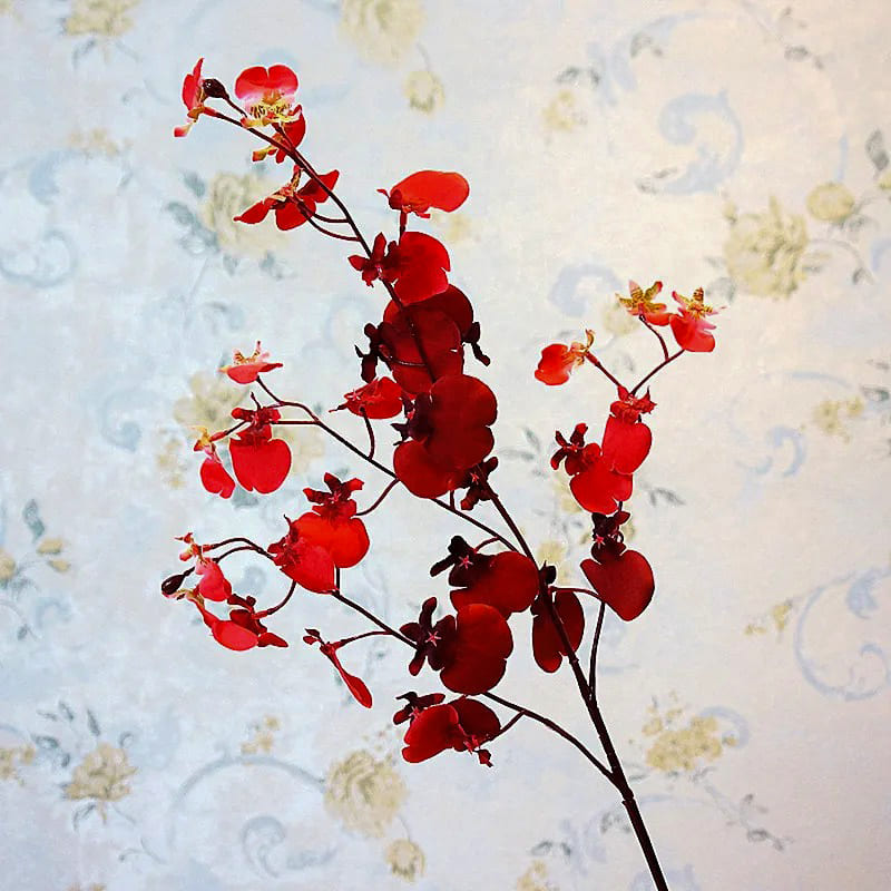 Cambria Orchidée.