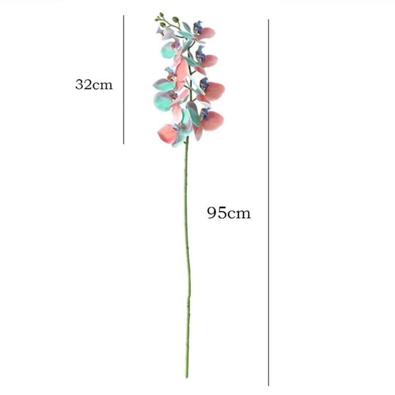Orchidée Originale