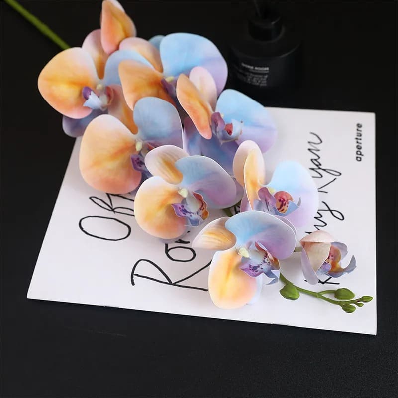 Orchidée Originale