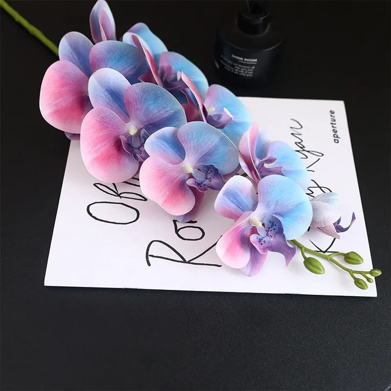 Orchidée Originale