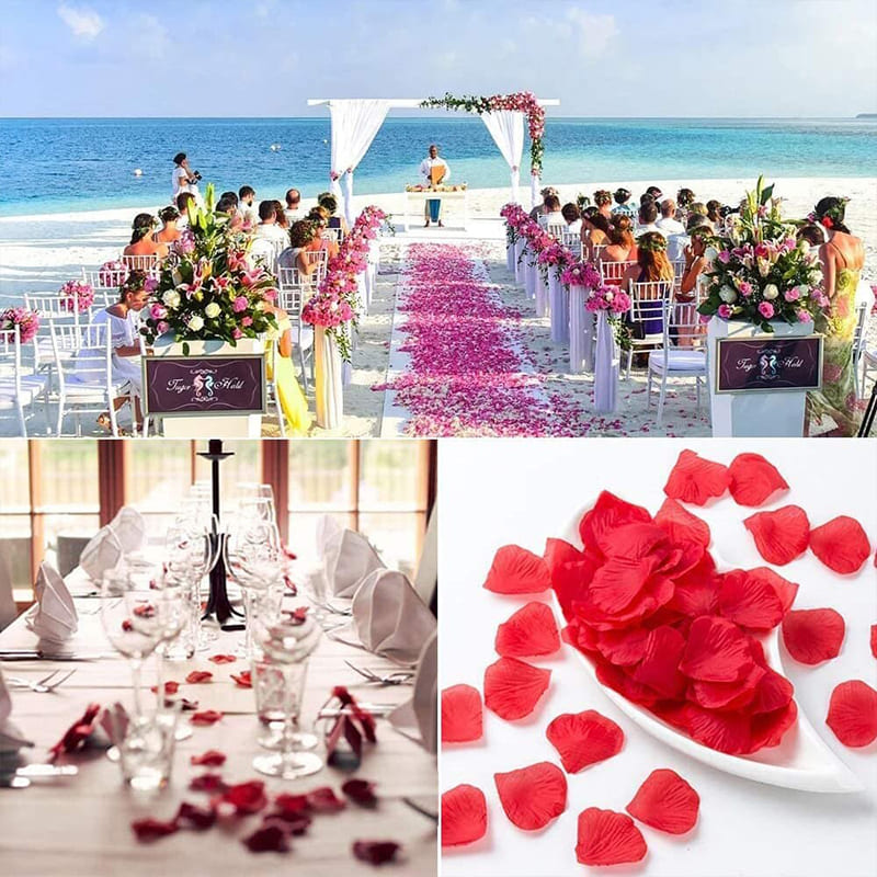 300 Pétales de Roses pour Décoration & Bastille