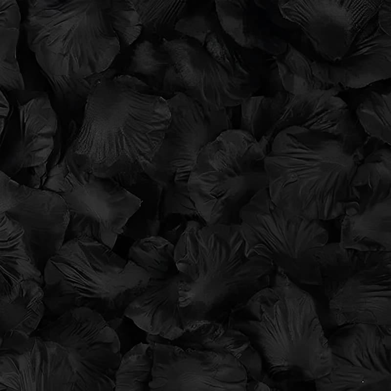 300 Pétales de Roses pour Décoration & Bastille