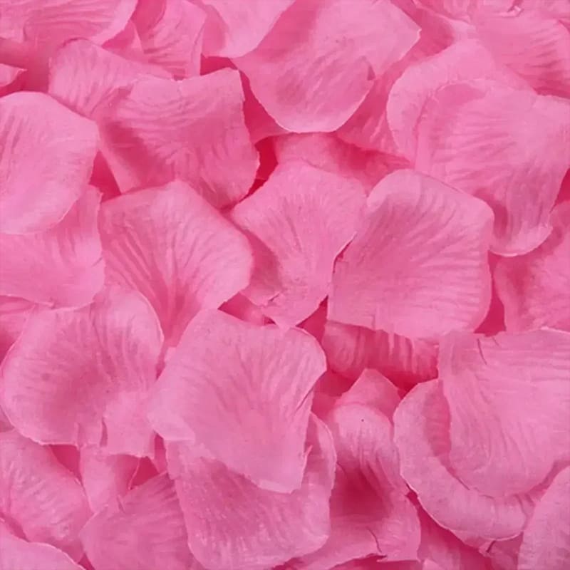 300 Pétales de Roses pour Décoration & Bastille