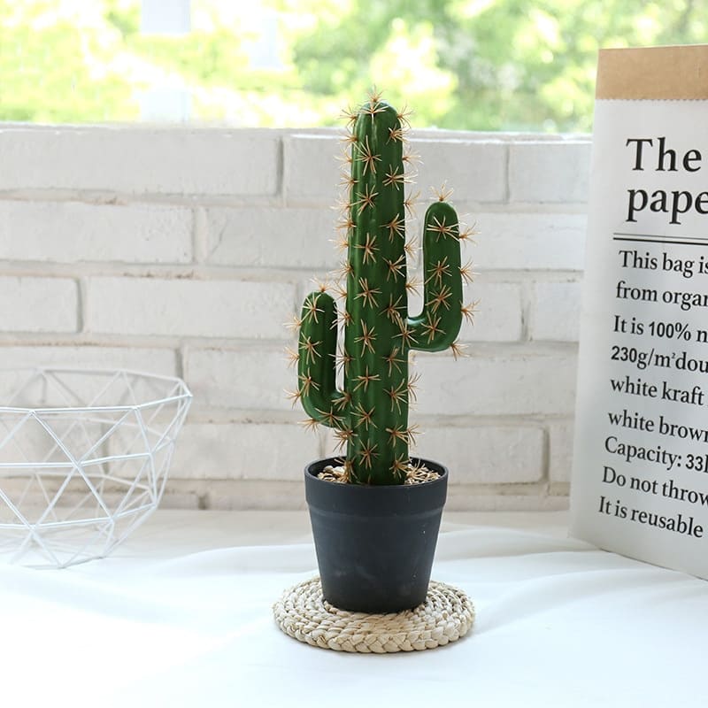 Cactus Déco Intérieur