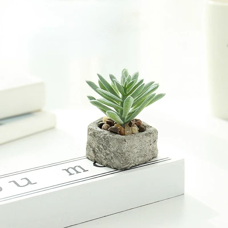 Plante Grasse Artificielle Compacte
