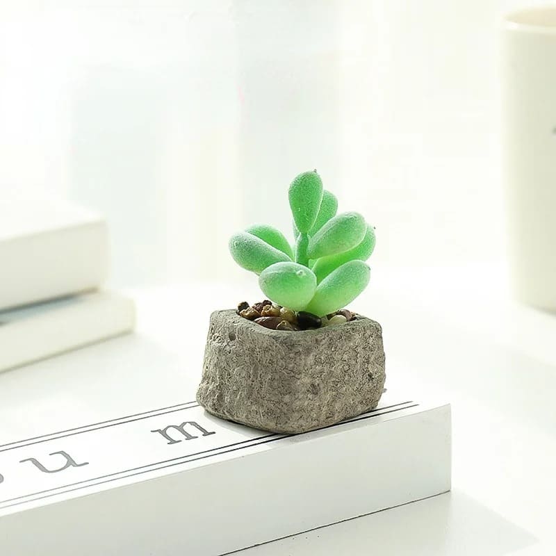 Plante Grasse Artificielle Compacte