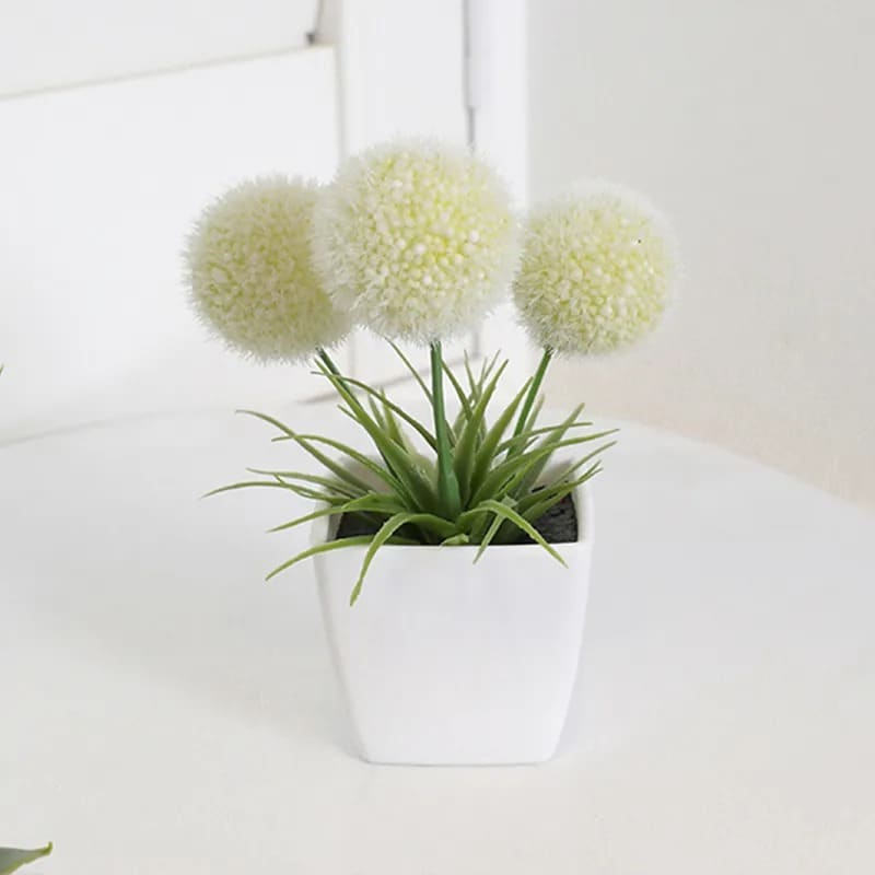 Fleur de Cerisier