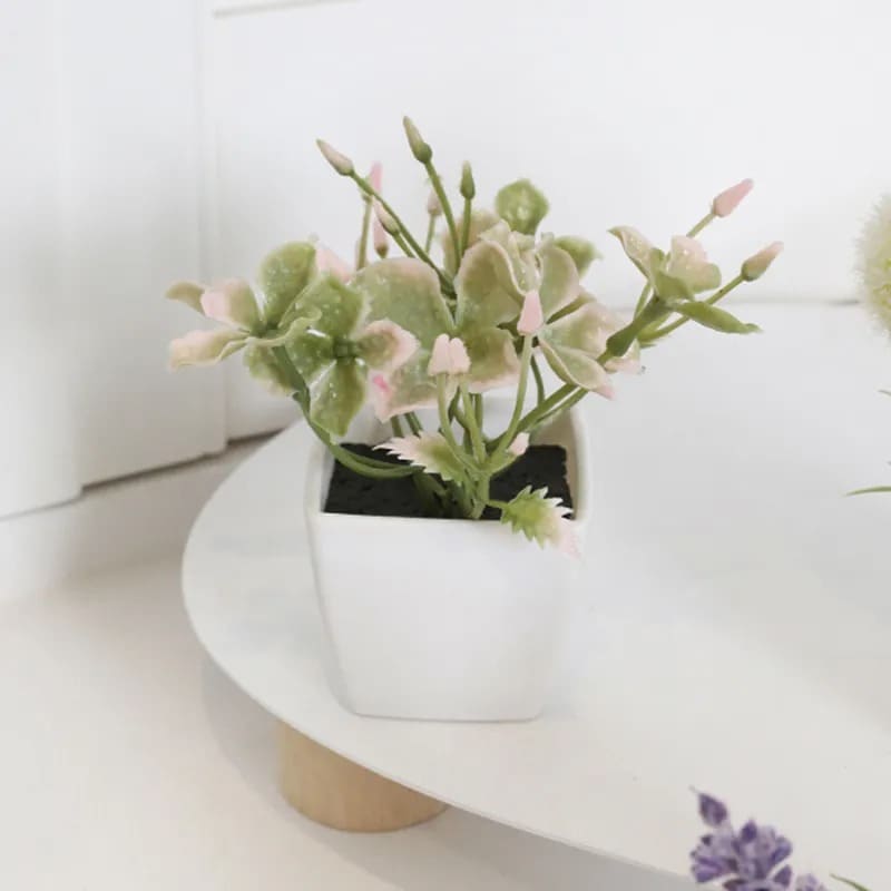 Fleur de Cerisier