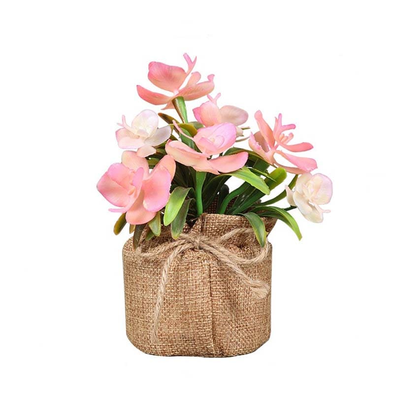 Fleurs en Pot : Petites Fleurs Décoratives