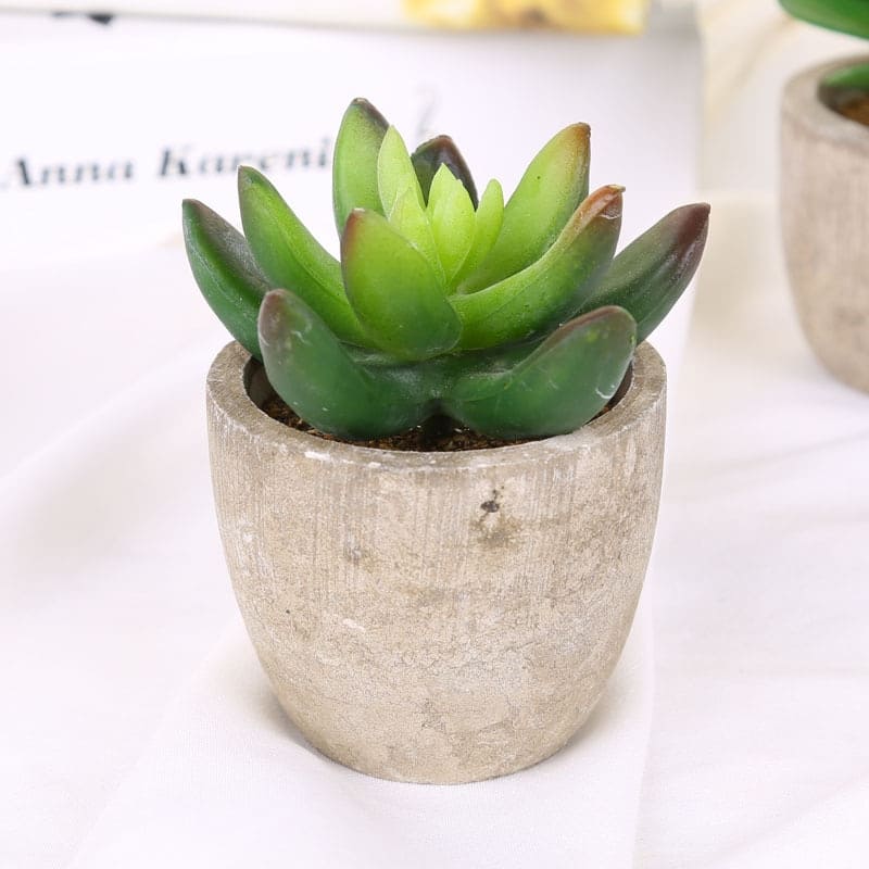 Plantes Grasses Artificielles Déco pour Maison