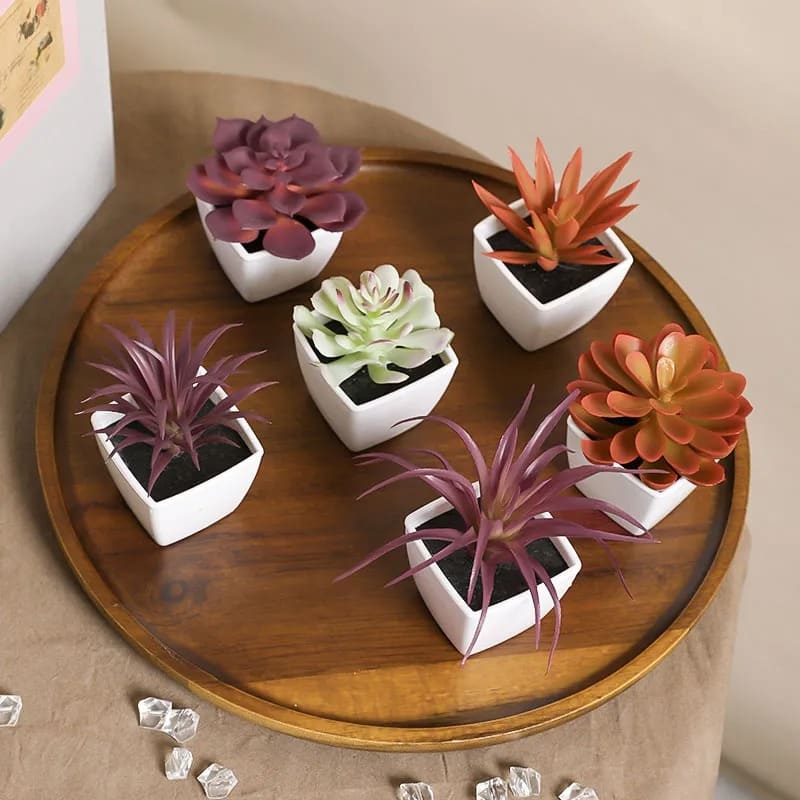 Succulente Plante Artificielle en Pot