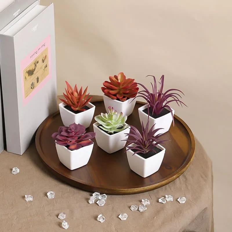 Succulente Plante Artificielle en Pot