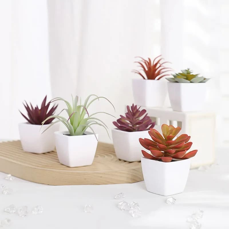 Succulente Plante Artificielle en Pot