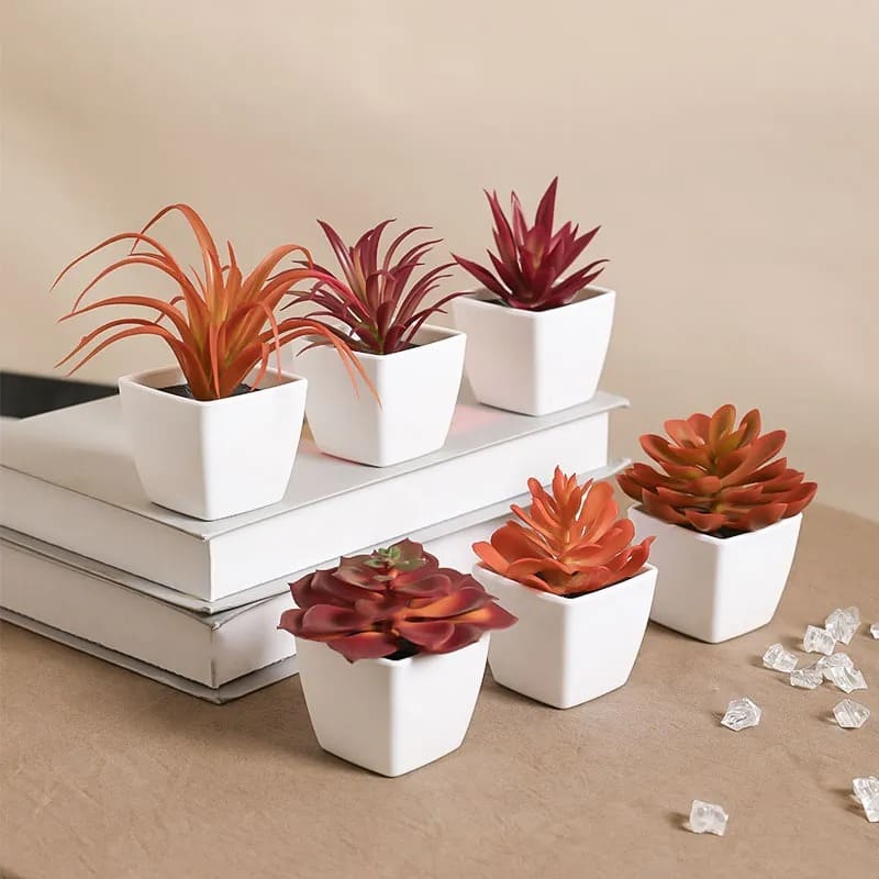 Succulente Plante Artificielle en Pot