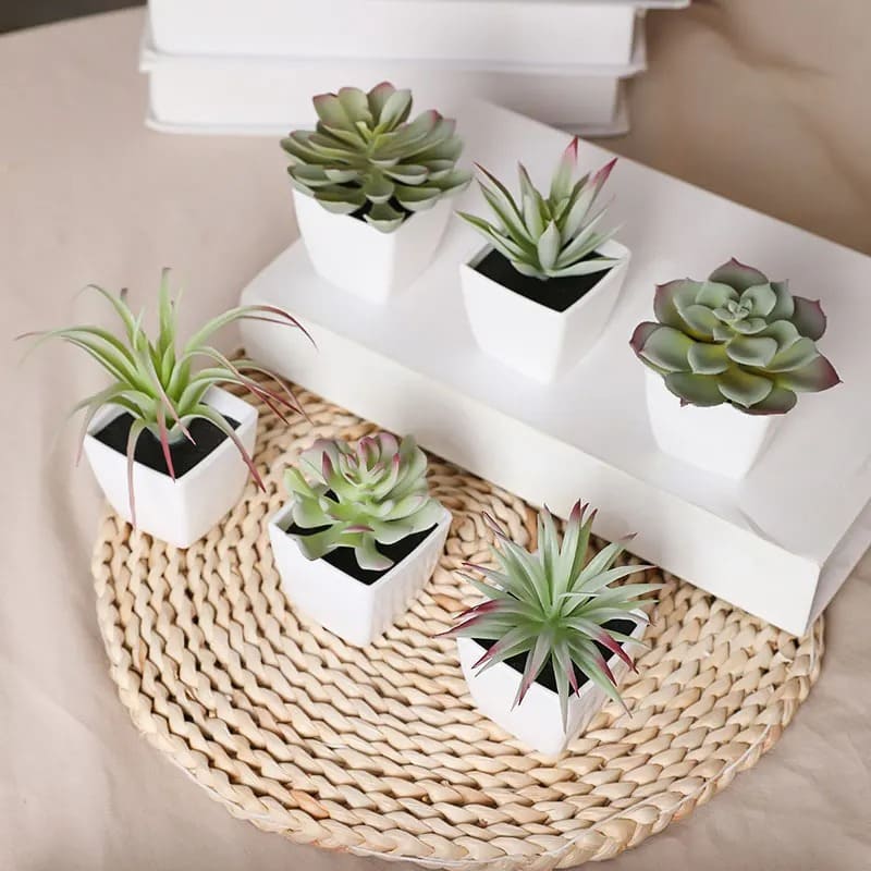 Succulente Plante Artificielle en Pot
