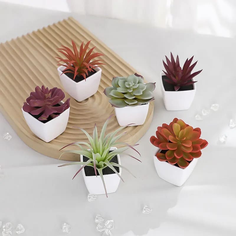 Succulente Plante Artificielle en Pot