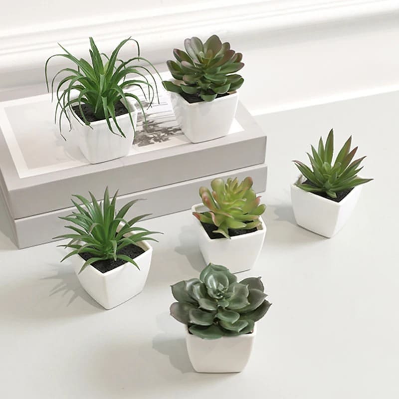 Succulente Plante Artificielle en Pot