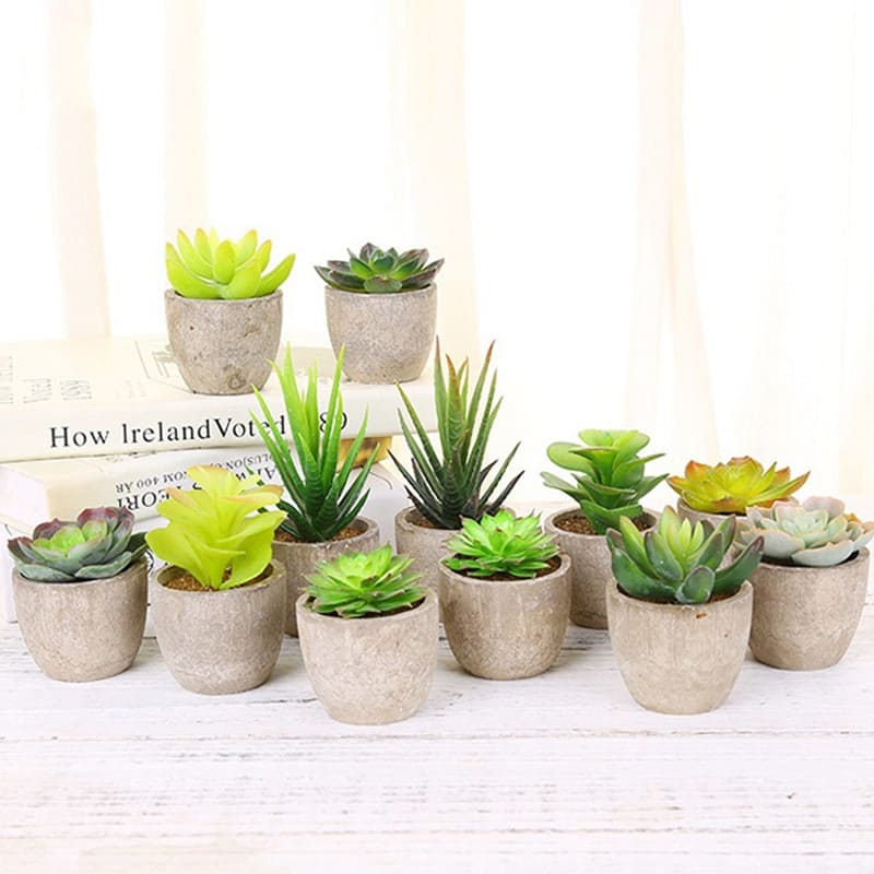 Plantes Grasses Artificielles Déco pour Maison