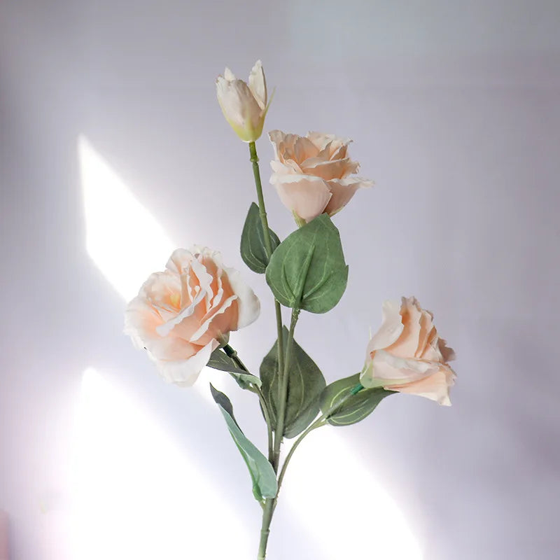 Prairie Gentian Violet