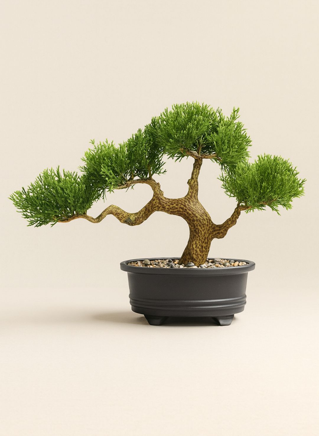 Bonsai Artificiel Cèdre du Japon 20cm