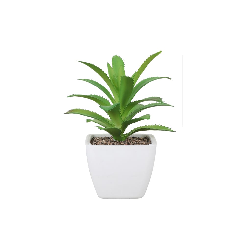 Succulentes Artificielles de Qualité Premium
