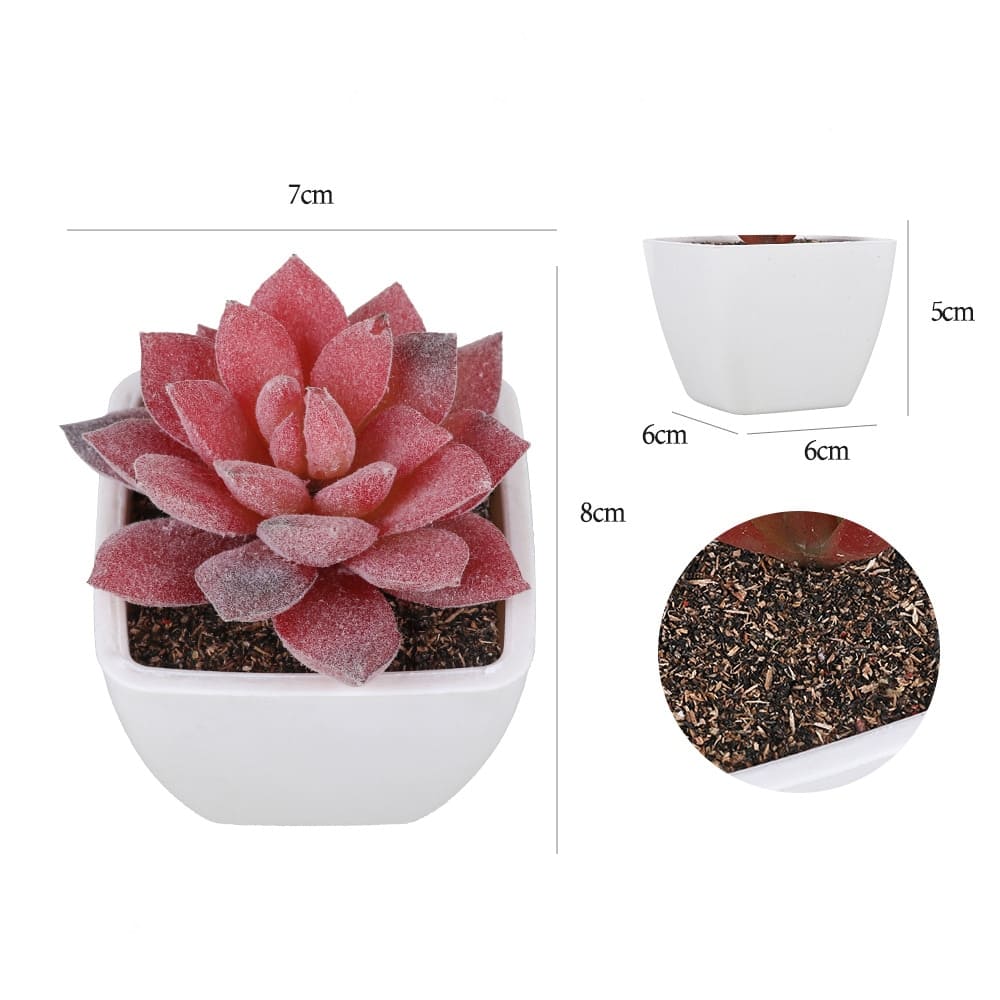 Succulentes Artificielles de Qualité Premium