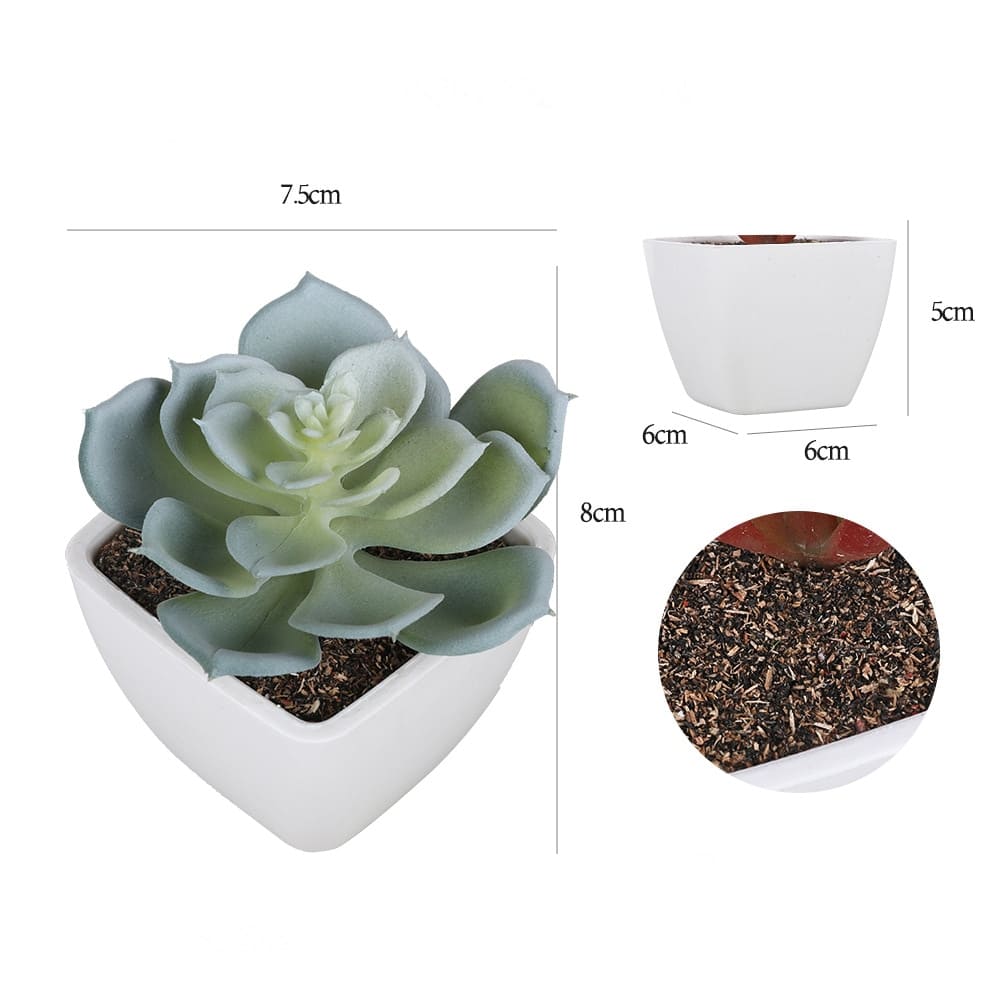 Succulentes Artificielles de Qualité Premium