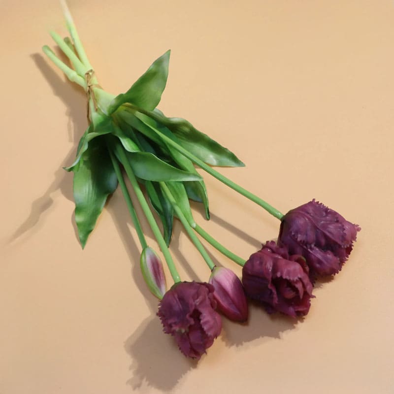 Tulipes Perroquet Premium.