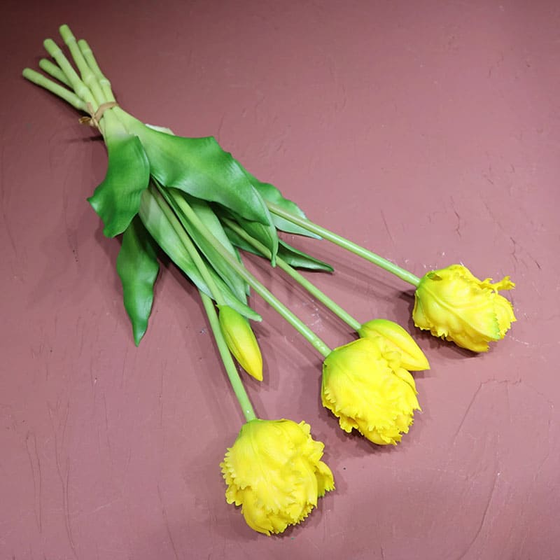 Tulipes Perroquet Premium.