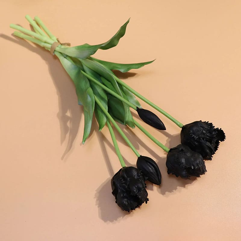 Tulipes Perroquet Premium.