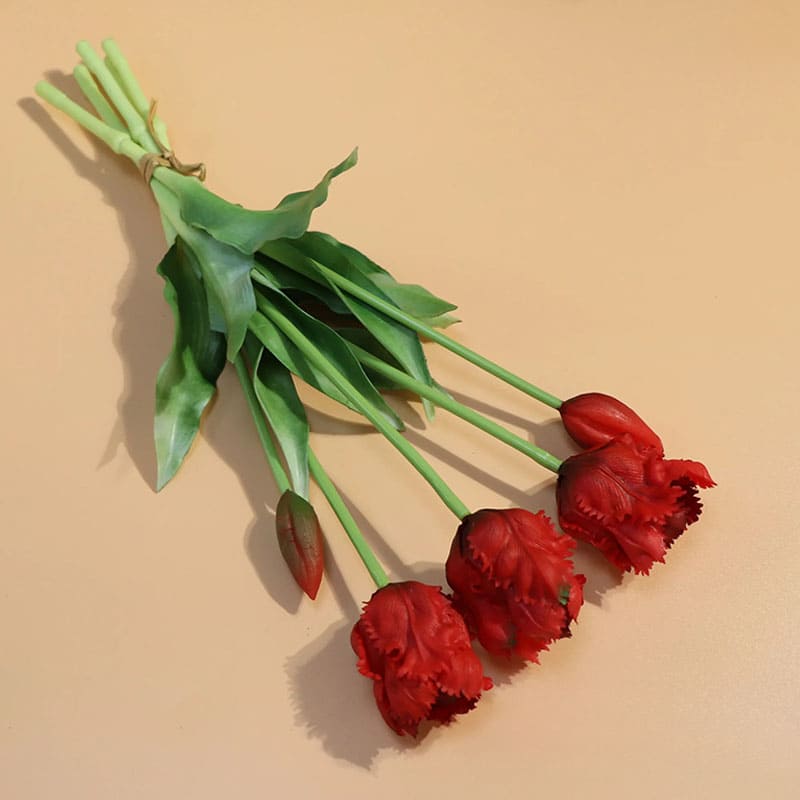Tulipes Perroquet Premium.
